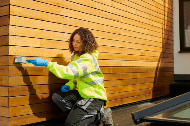 Professional Siding in Paw Paw, MI